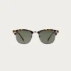 GAFAS MASTER MARRÓN