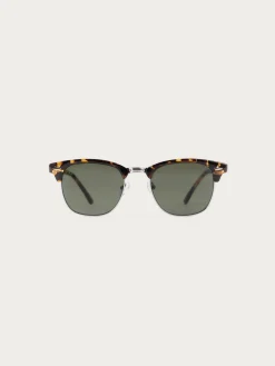 GAFAS MASTER MARRÓN